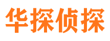 华宁市调查公司